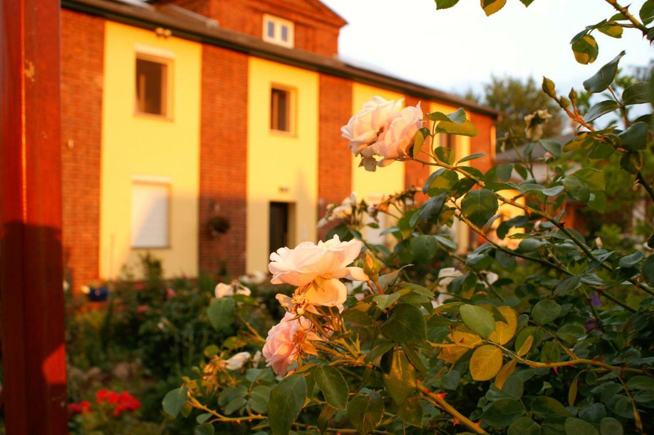 Ferienwohnungen Amselweg Brandenburg  Exterior foto